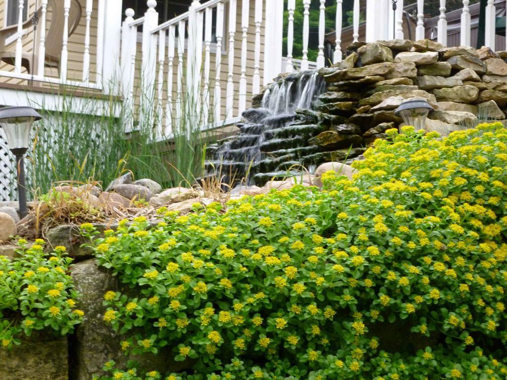 הוילה Marquette Trickling Waters Retreat מראה חיצוני תמונה