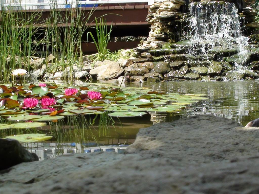 הוילה Marquette Trickling Waters Retreat מראה חיצוני תמונה