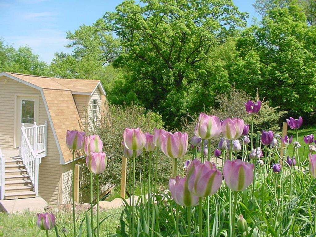 הוילה Marquette Trickling Waters Retreat מראה חיצוני תמונה